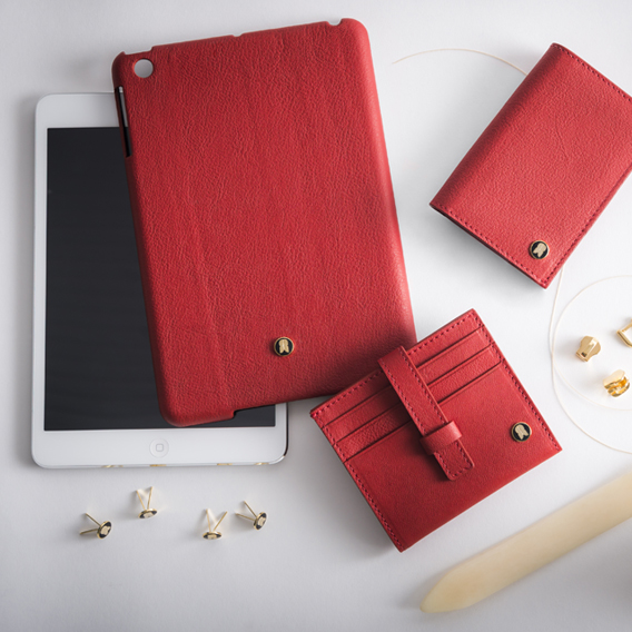 iPad Case